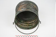 Foto von Bronzerippenziste (NHMW-PRAE-025462)